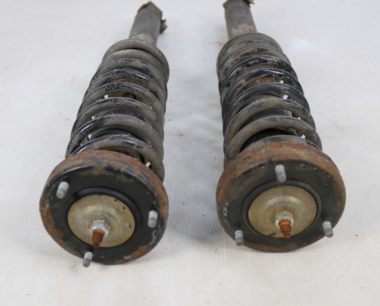 Picture of BMW  Rear Suspension Springs Struts Shocks Left Right Set E39 for sale